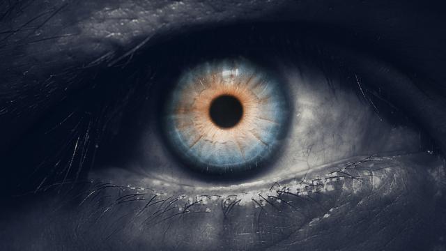 Pourquoi on ne peut pas voir dans le noir ? 
pourquois.com/corps_humain/-…