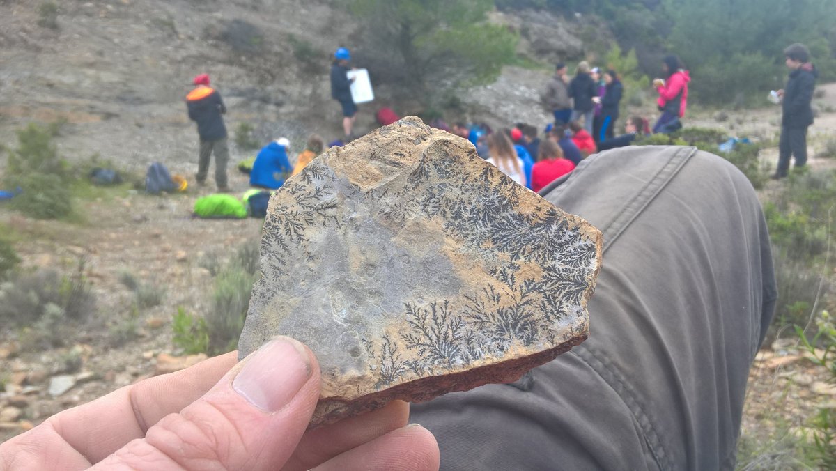rockbloke's tweet photo. Everyone looking for Carboniferous ferns and i find great dendrites...#notafossil RSM Sardinia fieldtrip #SardaRSM18 @ImperialRSM https://t.co/RutYsCeL3K