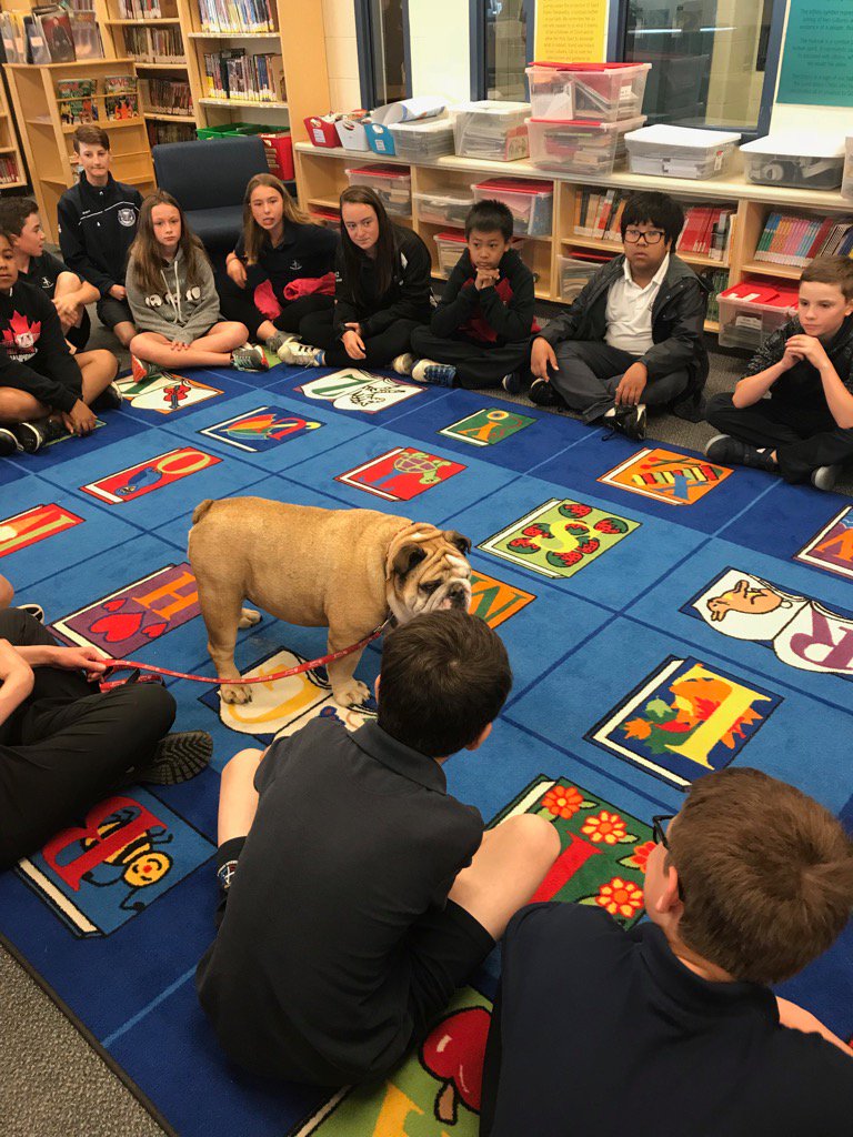 Miss_Coons6C's tweet photo. Best Tuesday ever! #therapydog #eqaoprep https://t.co/8PHm3ZU9sF