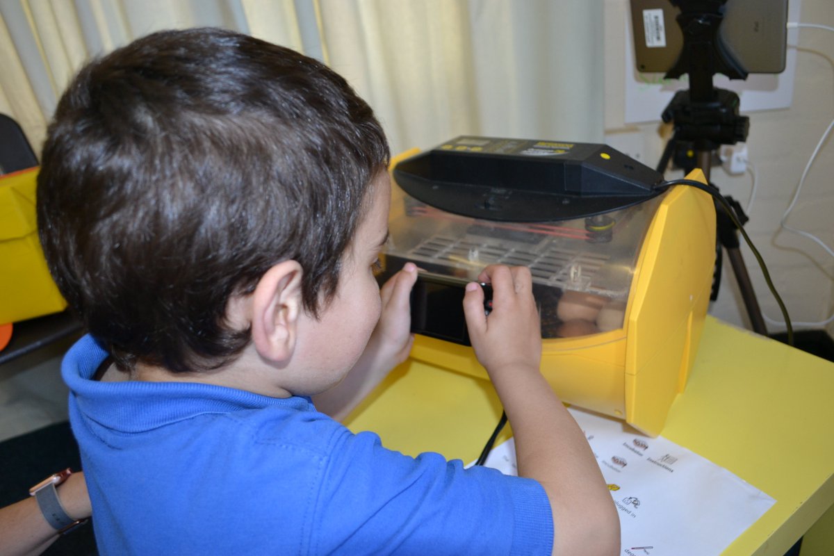 Cracking day at The Hollies, 2 of eggs have hatched! The children and staff are very EGGcited! #hollieschickwatch #experientiallearning #holliesaqua #holliesdigitaltherapy @GMCFWales <a href="/GMCFED/">GMCF Education</a>