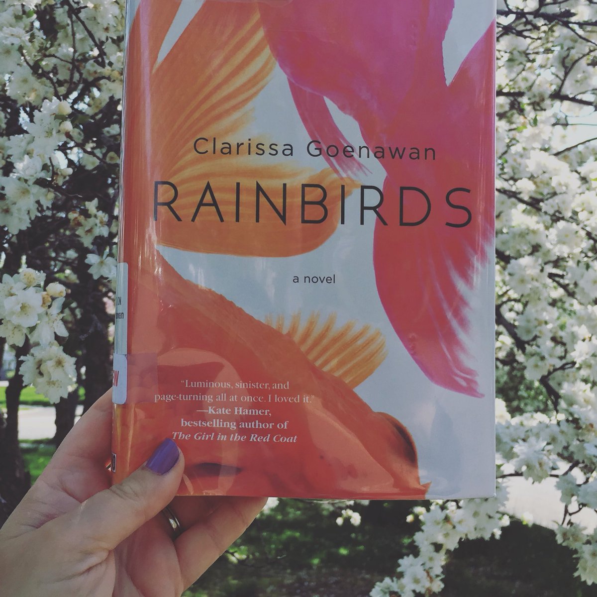 MeghanWeir's tweet photo. A beautiful book for a beautiful day. @ClaireClaire05 @soho_press #rainbirds #clarissagoenawan #authors2018 #debutnovel #amreading https://t.co/OpDgw1mpUe
