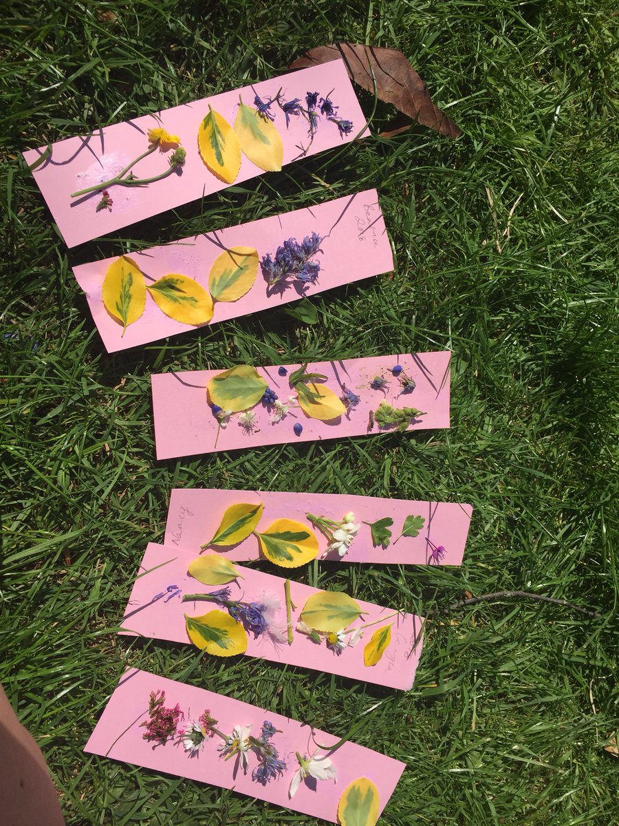 Outdoor education @ PHS Prep school tweet media