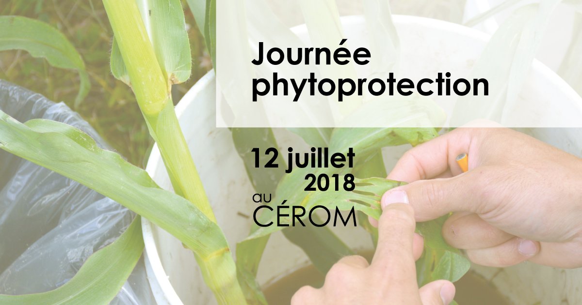 JSaguez's tweet photo. La #Journéephyto du @craaquebec est de retour au @cerom2017 cette année ! Réservez votre journée du 12 Juillet, découvrez le programme et inscrivez vous dès maintenant #insectes, #maladies #mauvaisesherbes #biosurveillance #protection #cultures
https://t.co/ce2etZgGeB https://t.co/fzhOJfFuIp
