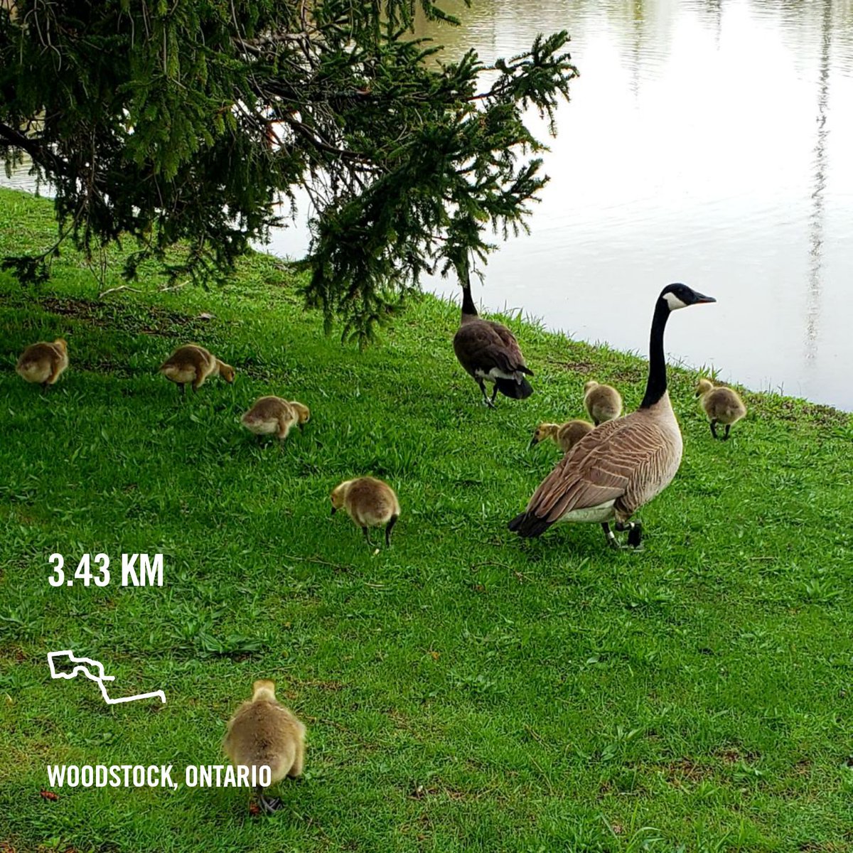 Lynn_Hickey's tweet photo. Great start to the day, much needed morning run. #runwithheadspace #nikerunning #nikerunclub https://t.co/xH0ic3ywz1