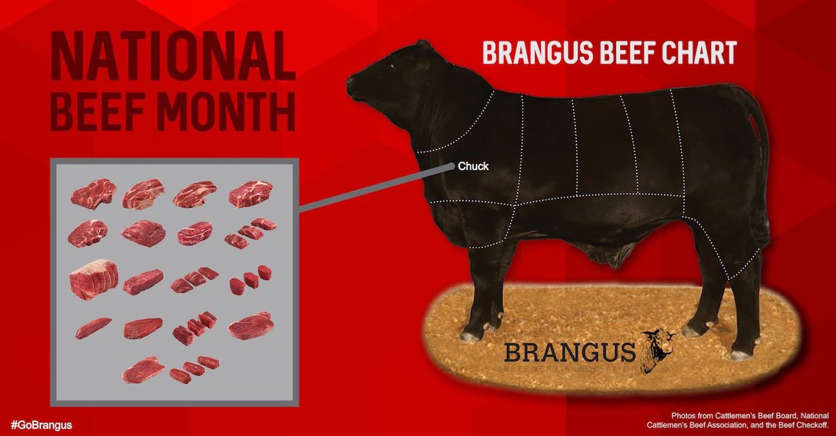 GoBrangus's tweet photo. It's #NationalBeefMonth! Can you name all the cuts of meat that come from the chuck? Visit our Facebook page for the answers! (https://t.co/e9OoU7dR7v) #GoBrangus #BuildWithBrangus #BrangusBeef #Brangus #RedBrangus #beef #cattle https://t.co/QQTw6yQEGq