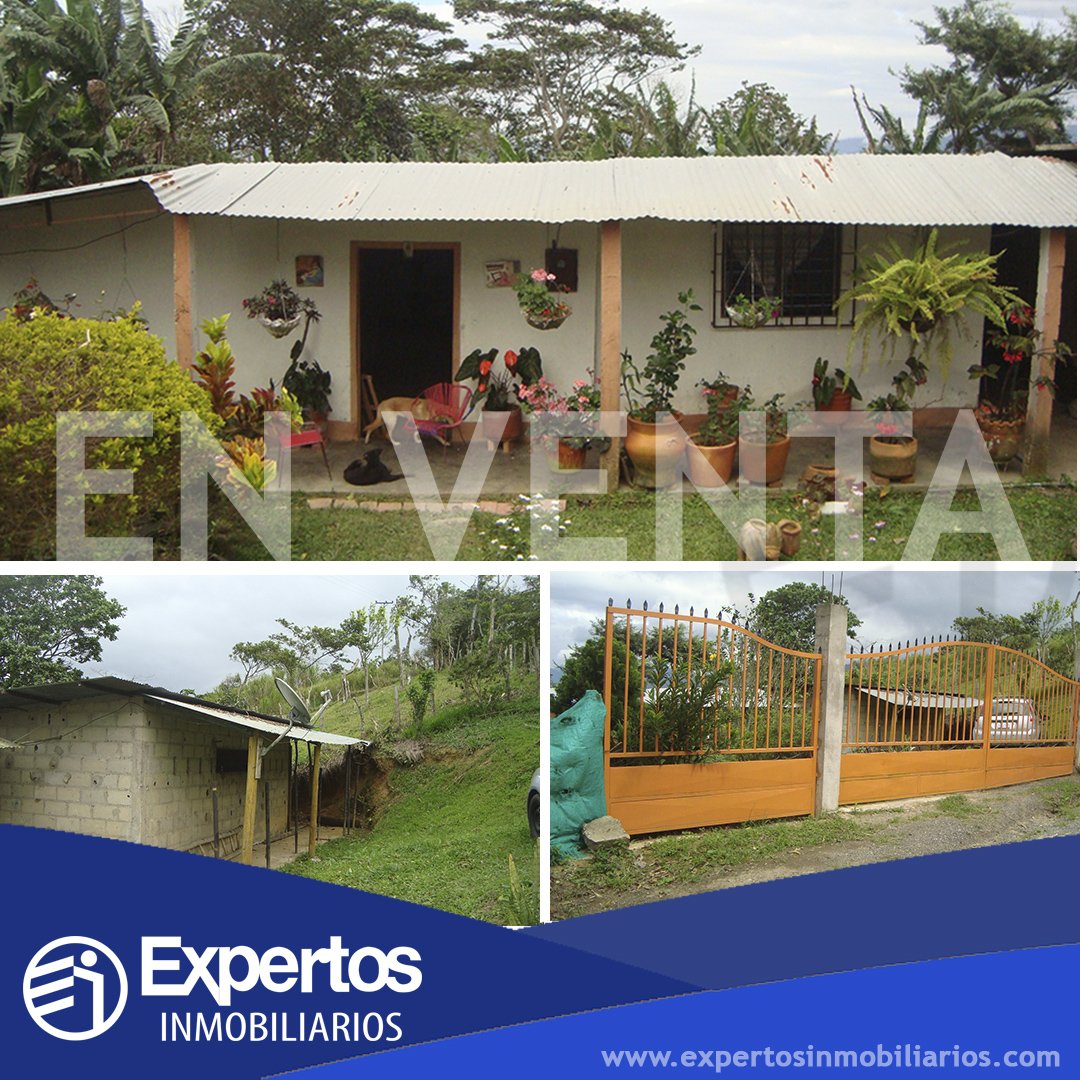 ExpertInmobilia's tweet photo. #ExpertosInmobiliarios VENDE hermosa y espaciosa finca de 4 hectáreas, ubicada en el Diamante de Bramon (RUBIO)  posee casa de 3 habitaciones, 1 baño, área de servicio, galpón. Cuenta con potreros y un excelente clima.​ Carolina Bonilla 0426-4206418 #TACHIRA https://t.co/pVxLYgAlhz