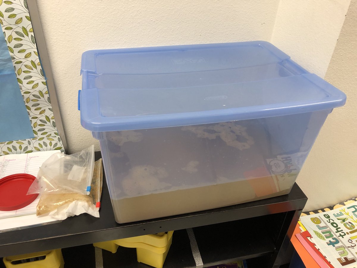 scottseagles22's tweet photo. When life gives you a surprise turtle, make a PBL Science unit. #pbl #turtle #🐢 #onlyatadams #fourthgrade https://t.co/Ts4KcYqHyC