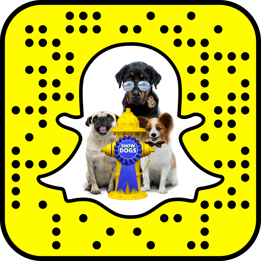 Scan to unleash our exclusive Snapchat lens where you can be Max, Daisy, or Sprinkles! #ShowDogsMovie hits theaters this Friday. bit.ly/2wLfOAa