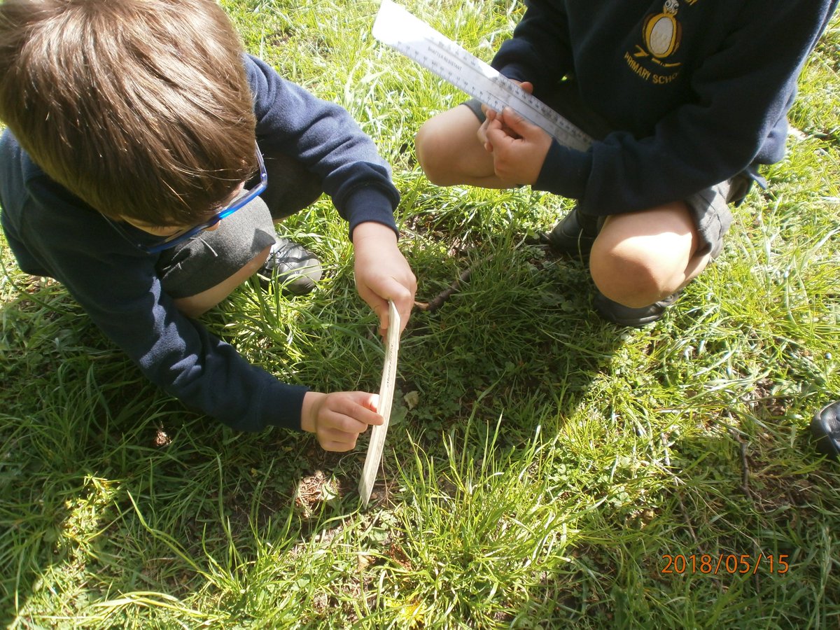 AberladyP2's tweet photo. Imagining what it would be like to be 10cm tall in the Wood of Wonder this morning to prepare our imaginations for story writing this afternoon. https://t.co/eFC3j0TDib