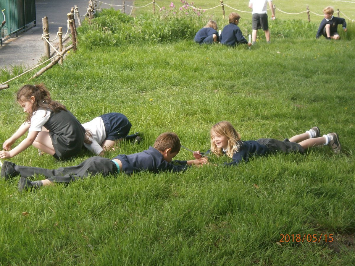 AberladyP2's tweet photo. Imagining what it would be like to be 10cm tall in the Wood of Wonder this morning to prepare our imaginations for story writing this afternoon. https://t.co/eFC3j0TDib
