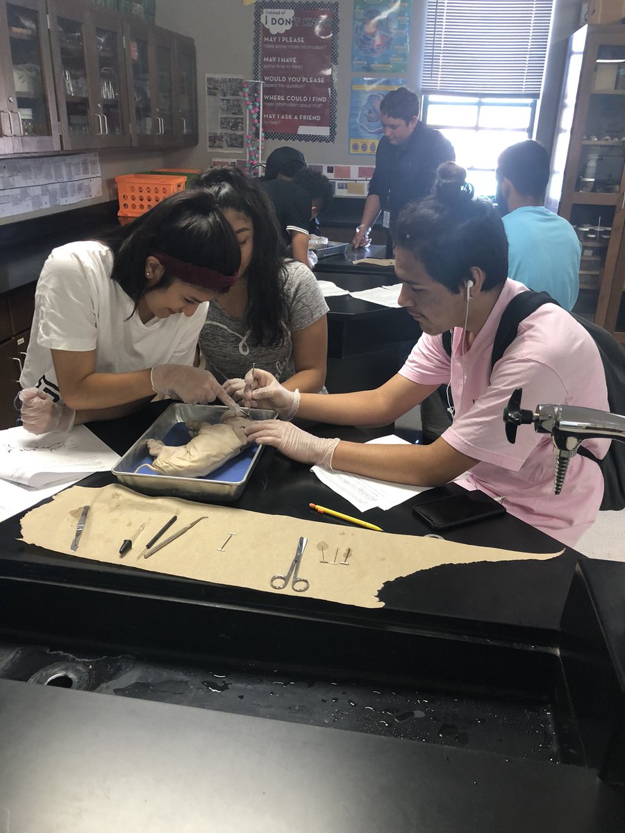 Jmaurer77833's tweet photo. My favorite day of the bio year! #pigdissection #handsonlearning #futuresurgeons @BrenhamHS @BrenhamISD https://t.co/pvFQxn8k6Y