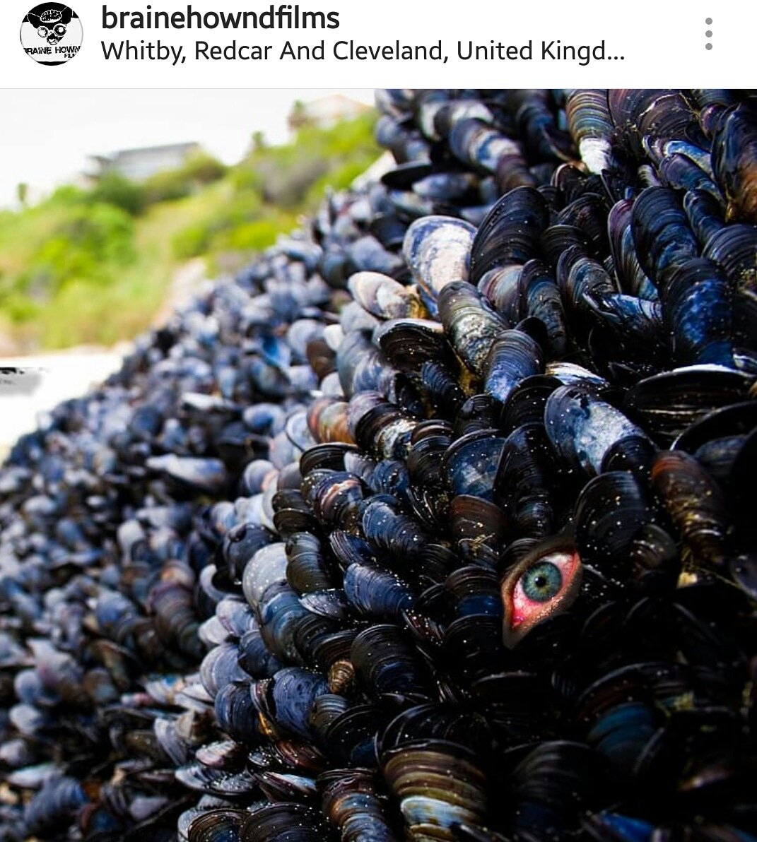 After a very successful #cannes2018 things are full steam ahead to make our next feature film "Limpet" it is the worlds first seafood based horror movie. Please give us a follow at <a href="/Limpetmovie/">Limpet The Movie</a> #filmmaking #horror #horrormovies #acting