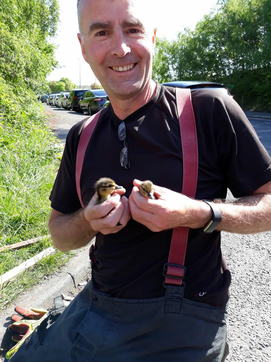 SYFR's tweet photo. Some very lucky duckies were rescued by Tankersley white watch this morning after becoming trapped down a drain. Quacking job done by all! https://t.co/qVnRp7pVaP