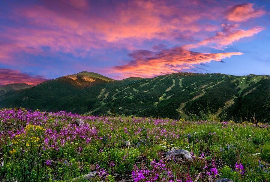 EpicMtnExpress's tweet photo. Why you come for the winter but stay for the summer. Soon the mountains will be green with flowers abound. #RideCME #Colorado #Summer https://t.co/592sOuCDf5