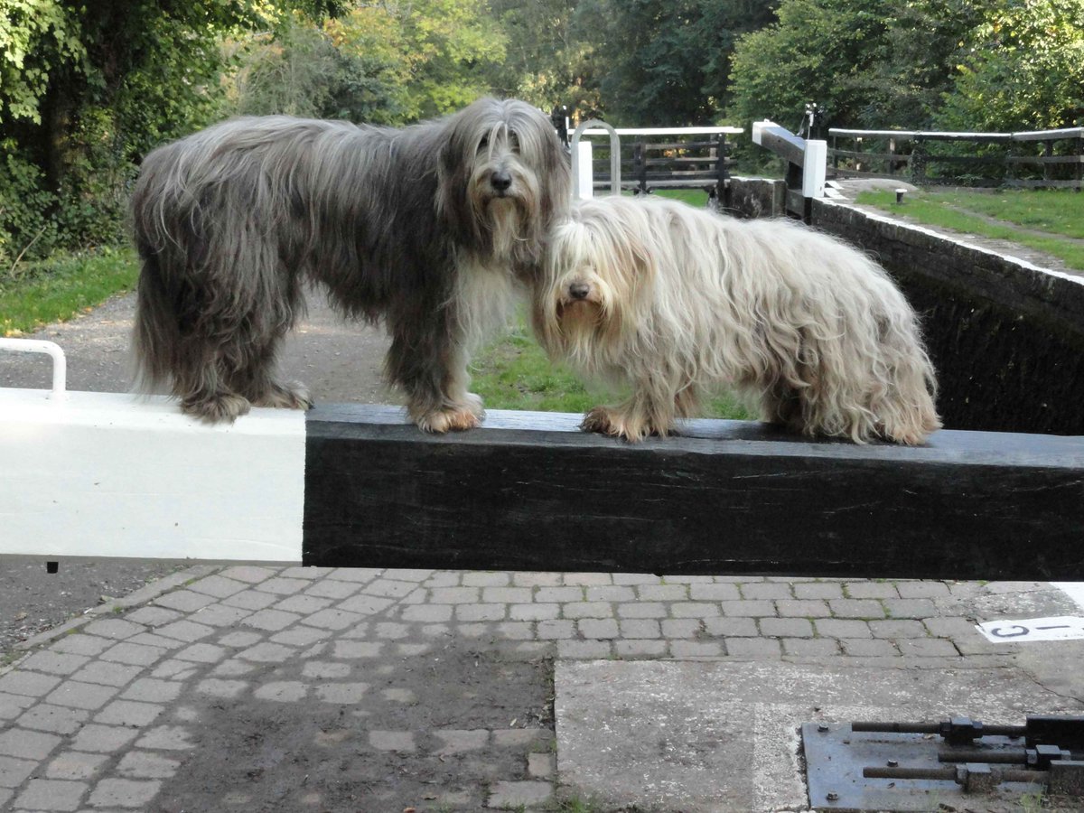 Due to #lastminute cancellation luxury narrowboat Merlin (sleeps 6) is available #halfterm 26 May - 2 June in the #breconbeacons . Double &amp; single beds, two shower rooms, dogs welcome. What are you waiting for? bit.ly/2HslB1Z  #dogfriendly #outdoorlife #FindYourEpic