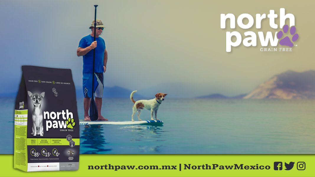 NorthPawMexico's tweet photo. Pequeños bocados para grandes corazones. #LibreDeGranos #NorthPaw https://t.co/k8x2Dlhjij https://t.co/UBoHRNhXHR