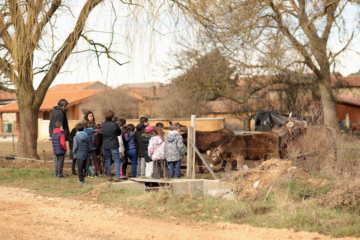 ¡Mañana empieza el II Foro Cultura y Medio Rural! La creación artística contemporánea para generar nuevos relatos sobre el medio rural y la educación como medio son premisas de estos dos proyectos que estarán en Segura de la Sierra. #CulturaRural