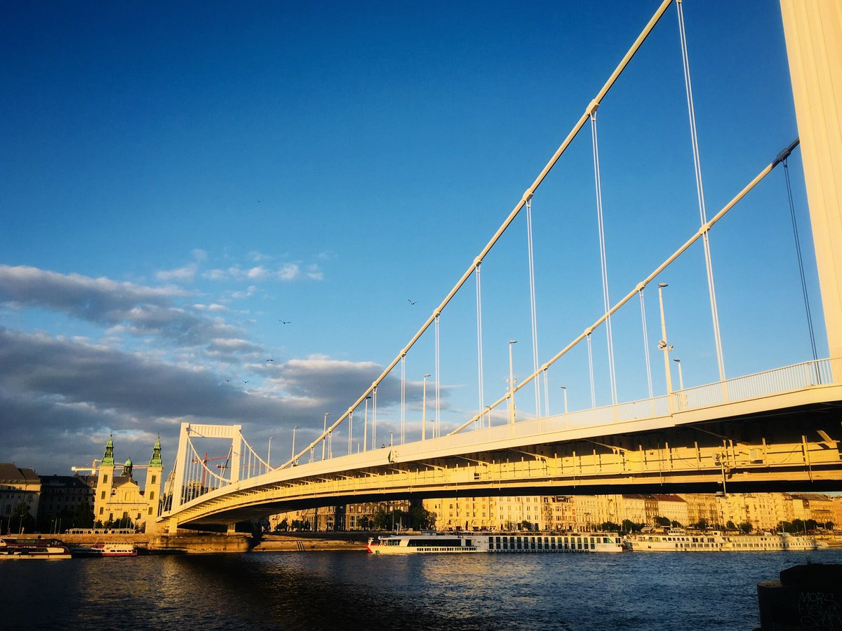 sonzvenom's tweet photo. โLetโs build #bridges, not #wallsโ #Budapest #Budapest2018 #elizabethbridge #libertybridge #chainbridge #buda #pest #riverdanube #Hungary #europe #traveldiaries #traveldiaries2018 #solotravels https://t.co/cEHlPu5xwQ