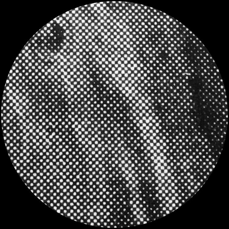MotifPrints's tweet photo. Flora patterns #screenprinting #printmaking #halftones #blackandwhite #graphicdesign #art #artists #TuesdayThoughts #flowers #artiststudio #abstractprint #abstractart #ArtHighlights #ArtworkOfTheDay https://t.co/o1erE5HK2b