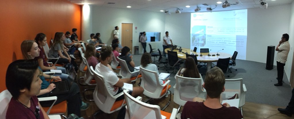 SGL 🥑 tweet media