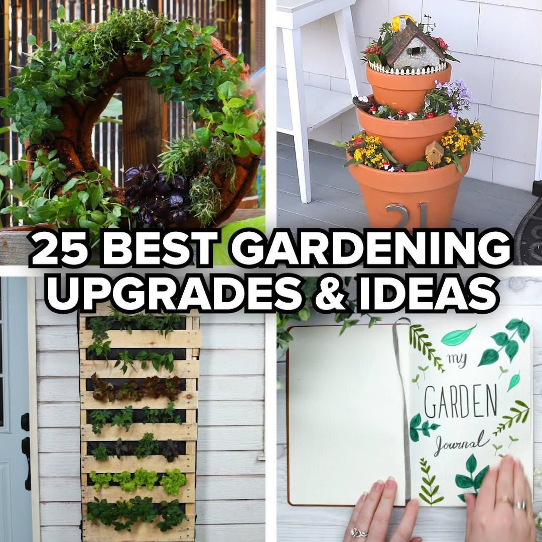 AtmosphereMover's tweet photo. If you just moved these 25 ideas can help you start making the garden you always dreamed of! https://t.co/tz50yZn9Tt https://t.co/P3C0Tnbwj9