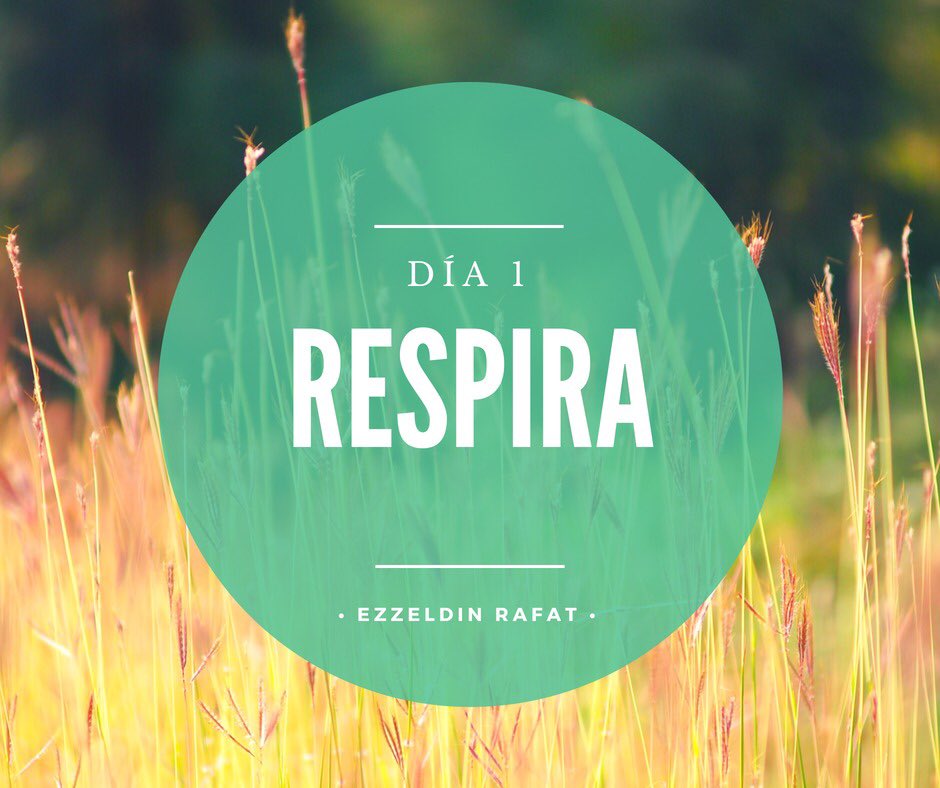 EzzeldinRafat's tweet photo. Ayer planté una semilla de cambio para mexico. ❤️ #12DíasdeCordura 
Reto: ¿Qué tanto respiras con conciencia y control?👃 No es lo mismo que solo respirar. Discutimos técnicas interesantes para tu enfoque y productividad. Sé parte: https://t.co/mrYJrL3IFp  #mindfulness https://t.co/f2Rsy3dihC