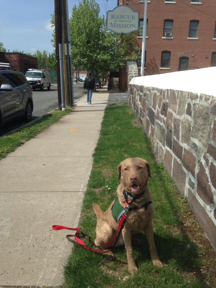 RescueTrenton's tweet image. Jed had his first visit as as a Registered Therapy Dog with @RescueTrenton Jed likes to give hope to people in recovery for their addictions, drugs and/or alcohol. If you need any help, please reach out. There is help available. 🐾🐾 #Pettherapy #Dogtherapy