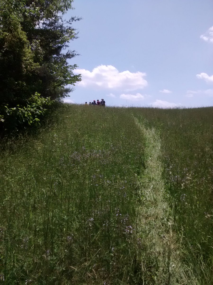 Mrs. Ehrenclou tweet media