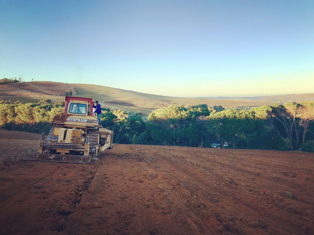markoroux's tweet photo. Always satisfying seeing proper soil preparation delivering a good result. Soil looking 👌 #chardonnay to be planted on this prime site in #stellenbosch #WarwickWineEstate https://t.co/VAanbQli1d