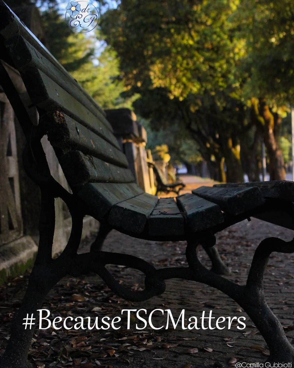 DrPas84Ele's tweet photo. #IamTSC #TSCisRare #MakeTSCMatter #TeamTSA #TuberousSclerosis #TSCure @PMTJames II #artandscience project in support of #TSC, #BecauseTSCMatters! #photography #nature #RareDiseases #Awareness #research #science #RareSpecialPowers #RareSisters #RareFriends #Bench #art #trees https://t.co/InTnHRBkZY
