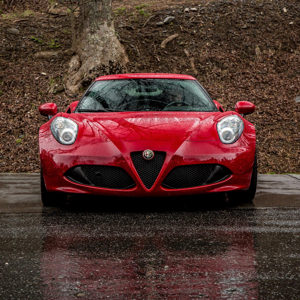 AlfaRomeoUSA's tweet photo. Time to reflect. https://t.co/FSDUdplgXE
