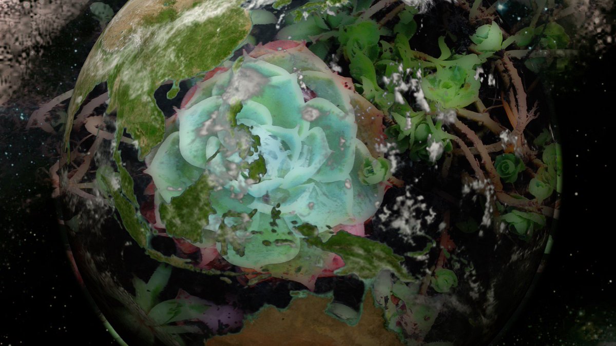 Prochain clip à venir...