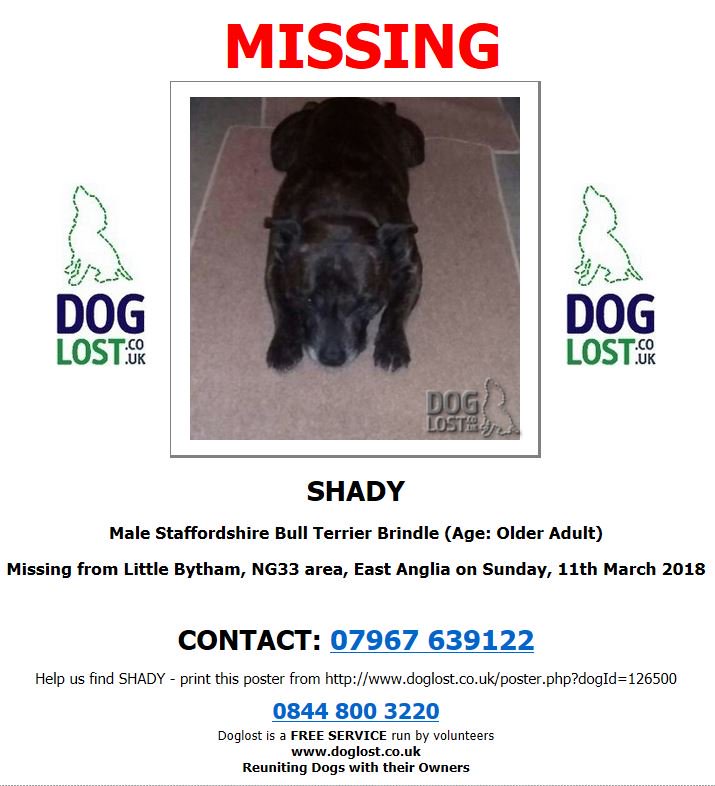 MissingPetsGB's tweet photo. SHADY'S birthday is coming up and he's still not home. The children miss him so much.

He disappeared from his home in 
#LittleBytham on 11 March. Please look out for him. #NG33 area

#chipped #ScanMe #lostdog #lost  #dogsarefamily #DogsOfTwitter 

https://t.co/CF8aIkc2Z5 … https://t.co/mCCKFFjZl4