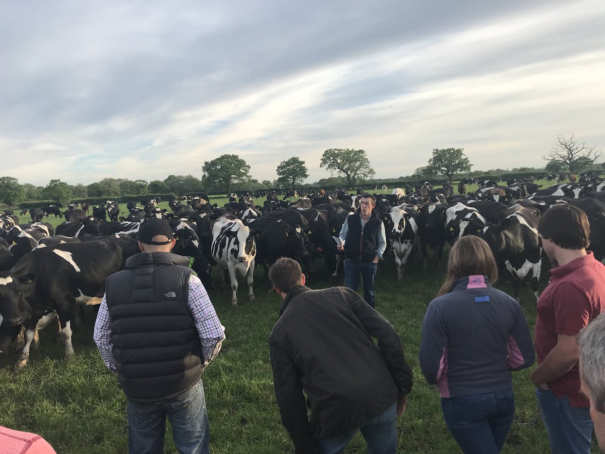 newportbeach89's tweet photo. Interesting farm walk at a top seasonal operator 👌🏻#grassgrassgrass @Will_Gill85 @NantwichFarmVet 🐄🐄🐄🌱🌱🌱 https://t.co/6Ok40fe7jg