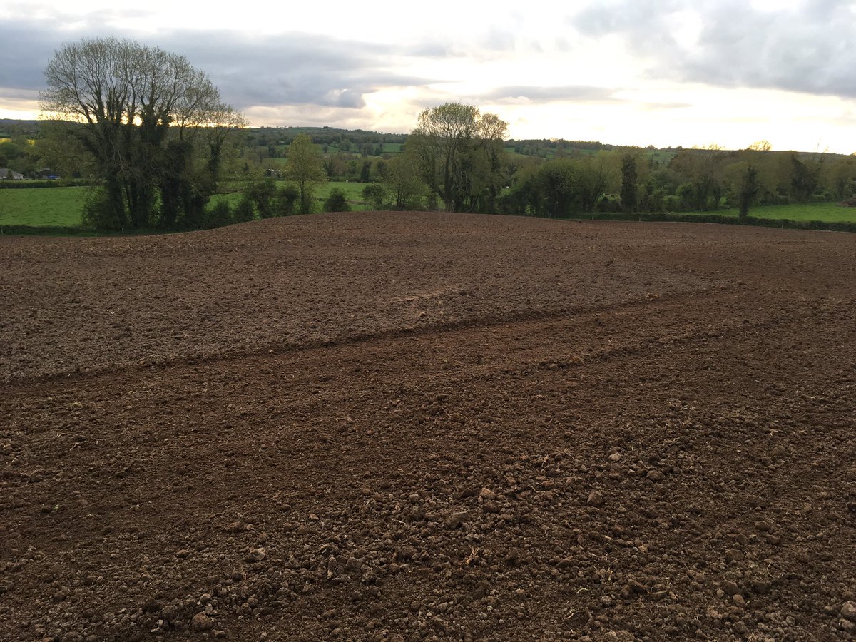 sprinkles785's tweet image. Busy day today ...a bit of recycling , a bit of mowing until it rained😭,a bit of tilling and the daily bit of breeding atm😁 #allgo