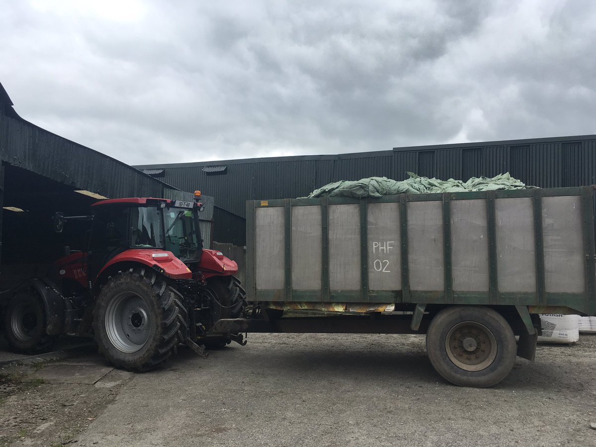 sprinkles785's tweet image. Busy day today ...a bit of recycling , a bit of mowing until it rained😭,a bit of tilling and the daily bit of breeding atm😁 #allgo