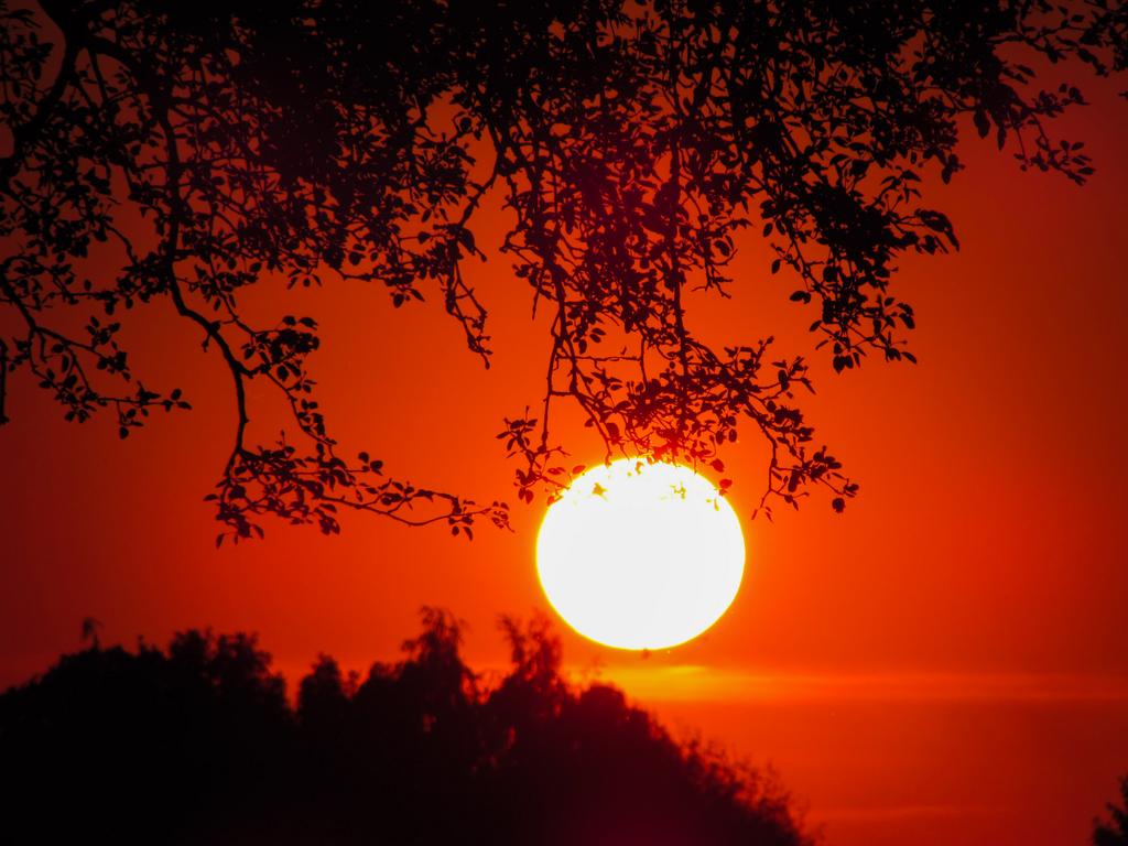 Sunset Netherlands @StormHour @atxwxgirl @aa_foresee @EarthandClouds @photoweather1 @CloudAppSoc