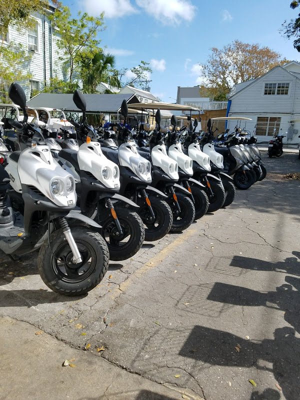 Our starting lineup.