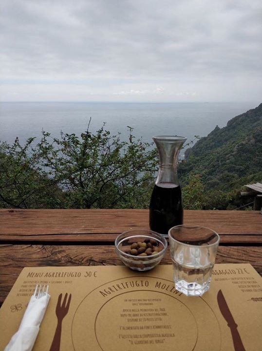 ProgettoSmartic's tweet photo. Aujourd'hui, nos consultants sont en visite chez @agririfugio Molini  “Nous faisons de l'agriculture et nous offrons hospitalité dans notre" abri agricole "au coeur du @ParcoPortofino , derriere la baie de San Fruttuoso @CoopDafne @LegacoopLiguria @INTERREGTweets @pc_maritime https://t.co/N1kV0ic7Ld