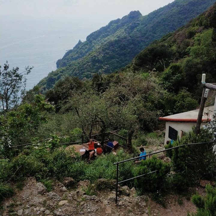 Aujourd'hui, nos consultants sont en visite chez <a href="/agririfugio/">Agririfugio Molini</a> Molini  “Nous faisons de l'agriculture et nous offrons hospitalité dans notre" abri agricole "au coeur du <a href="/ParcoPortofino/">Parco di Portofino</a> , derriere la baie de San Fruttuoso <a href="/CoopDafne/">Dafne</a> <a href="/LegacoopLiguria/">#COOPERATIVE LIGURIA</a> <a href="/INTERREGTweets/">Interreg Tweets</a> <a href="/pc_maritime/">Interreg Maritime</a>