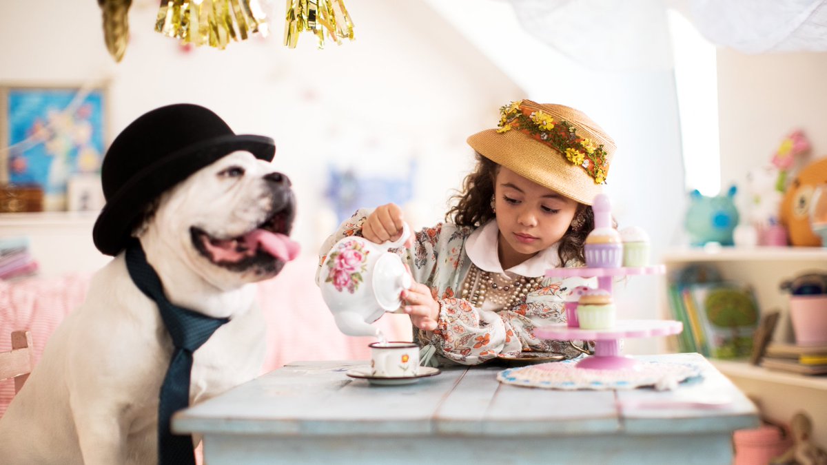 CBSantaFe's tweet photo. For the last 4 years, we have partnered with https://t.co/3uTMeq0u0c to find homes for thousands of shelter dogs via the #HomesforDogsProject. Our latest TV ad sheds light on the fact that even our older furry friends need forever homes as well. https://t.co/3CJ4F1Y7Vi 🐶🐾 https://t.co/LB7vzY3iWb