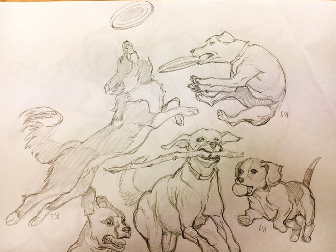 犬のクロッキー 