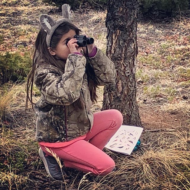 Catamount_Inst's tweet photo. “Look deep into nature and then you will understand everything better.”— Albert Einstein. #nature #catamountinstitute #environment #gooutsidetoday https://t.co/zlfFK46ANh https://t.co/ZznxzEQIT4
