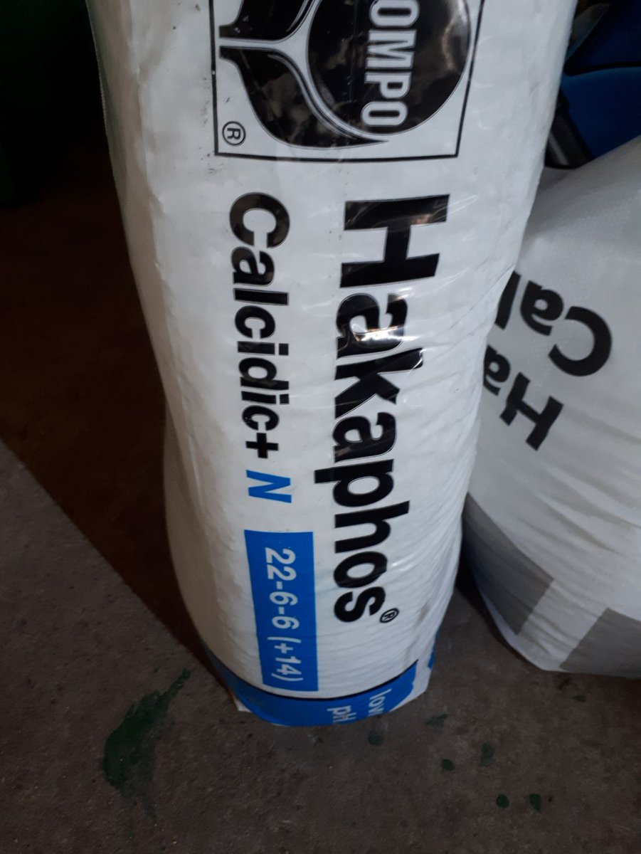 MSalVadoEsteVeS's tweet photo. Empiezan a endurecer el hueso de #platerinas #paraguayos #Lleida. Evitar #rajado, calcio radicular durante la fase 1 del desarrollo del fruto y/o combatir #salinidad.  #HakaphosCalcidic #pH ácido  @PedroCabanita  @ausias_marques  @bcnplana @davidalonso72 @FonBlancoPablo @ https://t.co/duXeu8VRa4