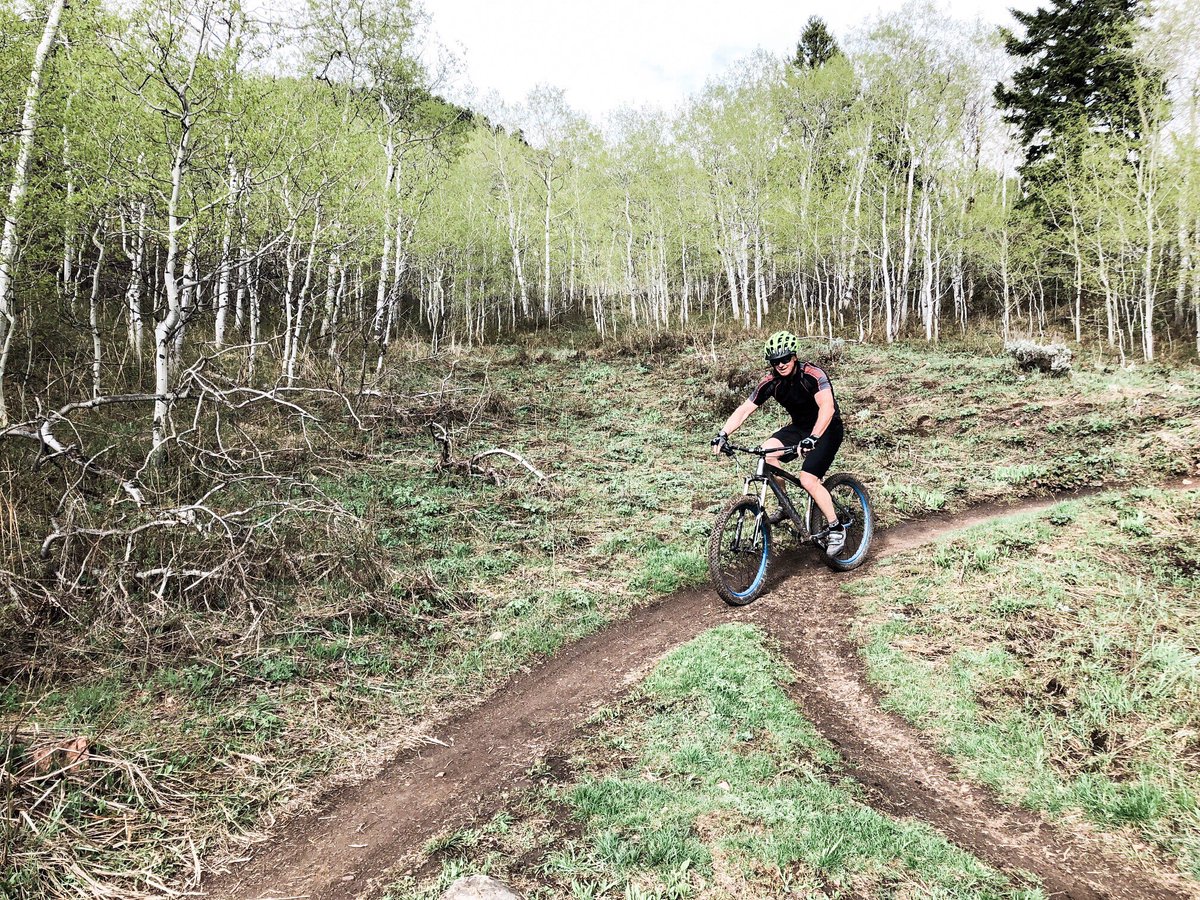 Mercer Estates tweet media