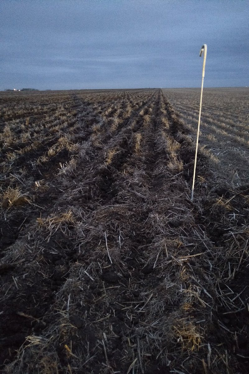 earthalivect's tweet photo. 70-acre Soil Activator trial in Saskatchewan on Canola crops. The trial was installed by @V6Agronomy and @sixsouthacres using fertilizer inoculation method at seeding. Looking forward to the results! #SoilActivator #canola #organic https://t.co/igDY1bCSVc