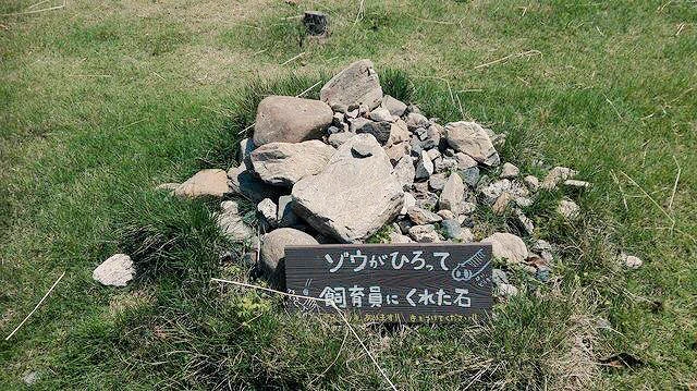 思わずほっこりｗｗｗ　動物園に展示されていたあるモノが可愛すぎるｗｗｗ