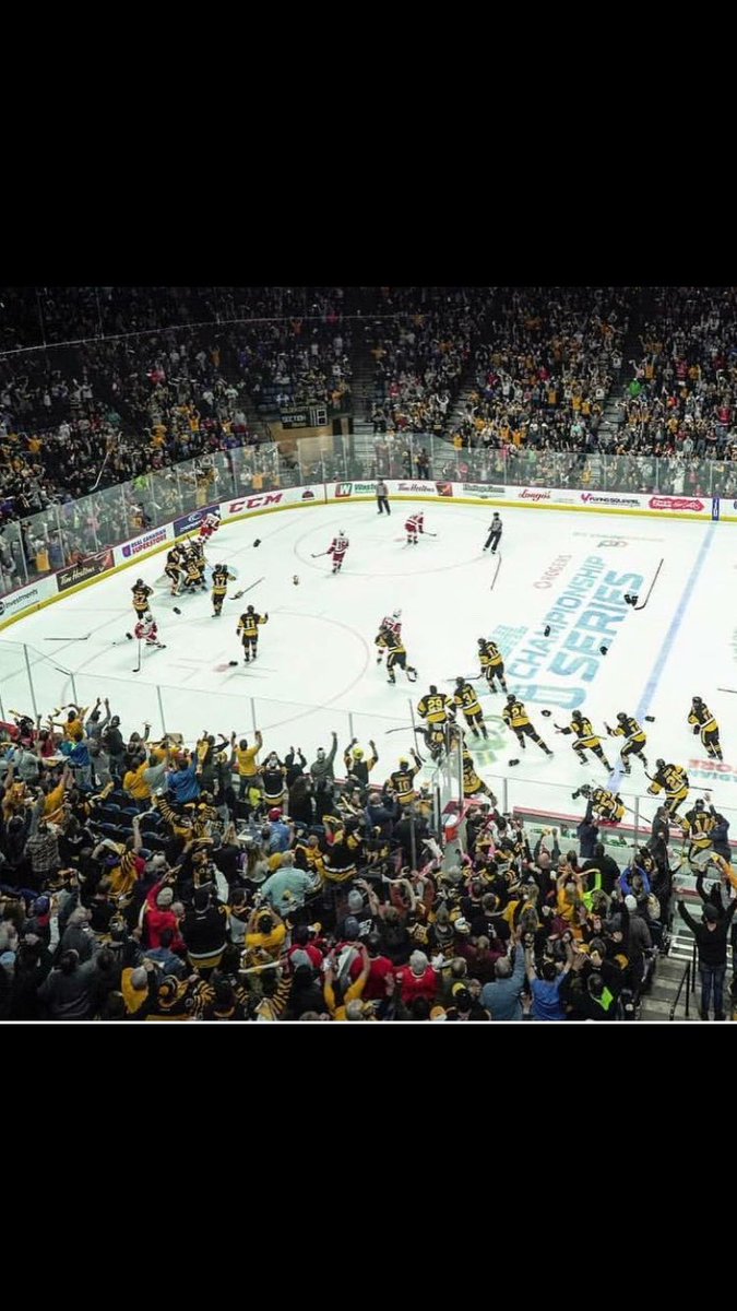 Connor Walters tweet media