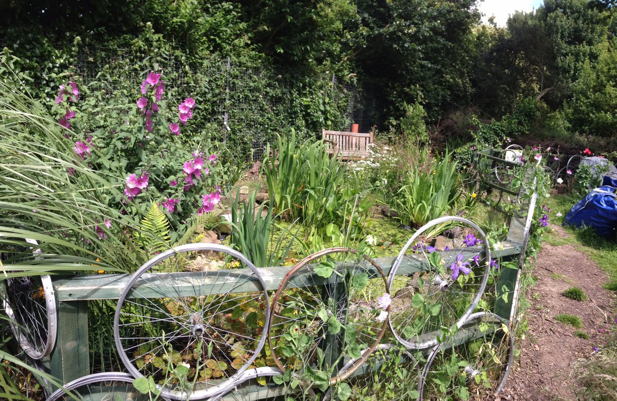 BHCityinBloom's tweet photo. B &amp; H City in Bloom Community Garden Competition 2018 now open. Sponsor #RJMeakerFencing. For #CommunityGardens run by #volunteers who tend a pocket in a park,a hidden garden or a suburban open/green space. Entry form here https://t.co/Eq7oKYGsJd https://t.co/bCLdb8ljT3