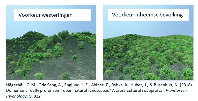 agnes_vdberg's tweet image. Voorkeur voor half-open landschap minder algemeen dan gedacht-  inheemse bevolkingsgroepen zien liever een dicht bos. Nieuw cross-cultureel onderzoek in Frontiers frontiersin.org/article/10.338…